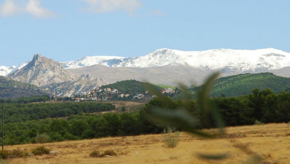 El Rincon De Pepa Apartment La Zubia  Bagian luar foto